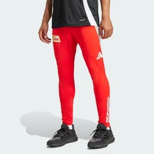 1. FC Union Berlin Tiro 24 Competition Training Pants Adidas