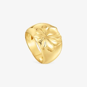 18K Gold Vermeil Signet Ring With Motif Yagrumo - Tous Rozmiar
