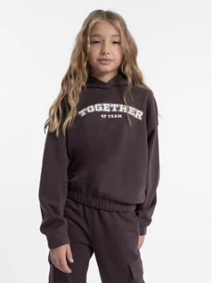 4F Bluza 4FJAW23TSWSF639 Fioletowy Regular Fit