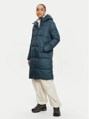 4F Kurtka zimowa 4FWAW24TDJAF475 Niebieski Regular Fit