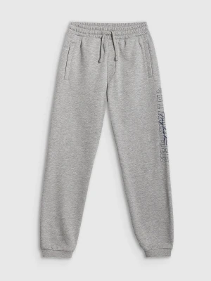 4F Spodnie dresowe joggery chłopięce - szare 122 (6-7 lat)