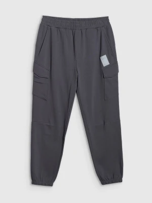 4F Spodnie dresowe joggery męskie - szare M