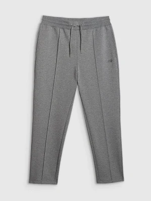 4F Spodnie dresowe męskie - szare S