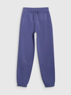 Zdjęcie produktu 4F Spodnie dresowe w kolorze niebieskim rozmiar: 152
