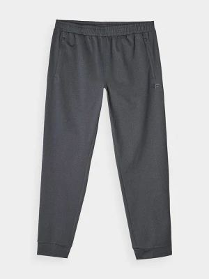 4F Spodnie sportowe w kolorze szarym rozmiar: L