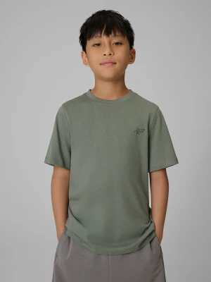 4F T-shirt regular gładki (2-pack) chłopięcy - multikolor 134/140 (8-10 lat)