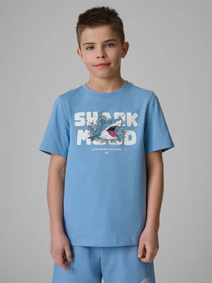 4F T-shirt regular z nadrukiem chłopięcy - niebieski 158 (12-13 lat)