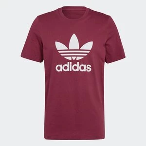 Adicolor Classics Trefoil Tee Adidas