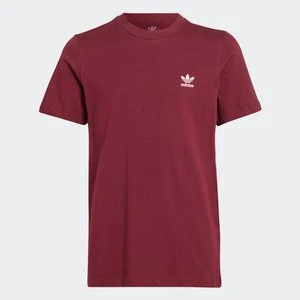 Zdjęcie produktu Adicolor Tee Adidas