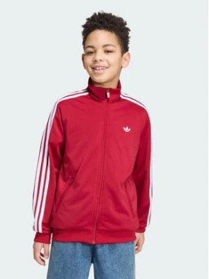 adidas Bluza FIREBIRD LOOSE Czerwony Loose Fit