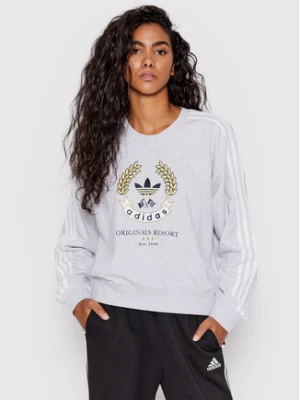 adidas Bluza Graphic HL6557 Szary Loose Fit