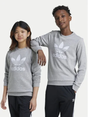 adidas Bluza Trefoil IY7436 Szary Regular Fit