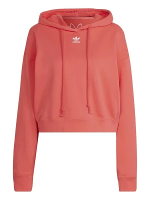 adidas Bluza w kolorze czerwonym rozmiar: 32