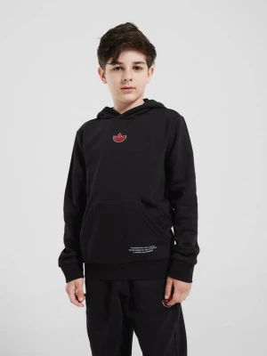 adidas Bluza Z Kapturem Collegiate Hd Blk B