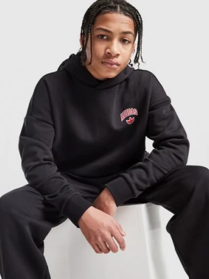 adidas Bluza Z Kapturem World Tour Hd