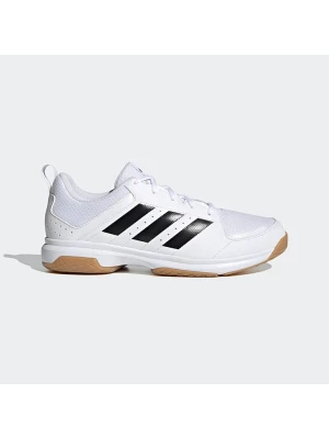 adidas Buty sportowe "Ligra 7" w kolorze białym do piłki ręcznej rozmiar: 43