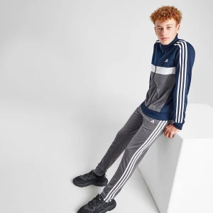 adidas Komplet Tiberio Suit Nvy/gry/wht B