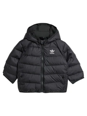 adidas Kurtka puchowa adicolor IX7493 Czarny Regular Fit