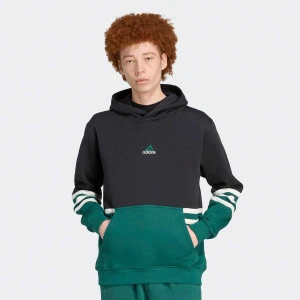 adidas Originals Archive Hoodie mężczyźni Bluzy czarny rozmiar Odzież