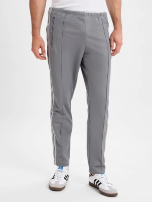 adidas Originals Męskie spodnie do biegania - Classic TP Mężczyźni szary jednolity,