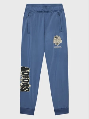 adidas Spodnie dresowe Graphic Track HK2831 Niebieski Regular Fit