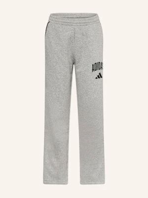 Adidas Spodnie Dresowe Seasonals Essentials Collegiate Typography grau