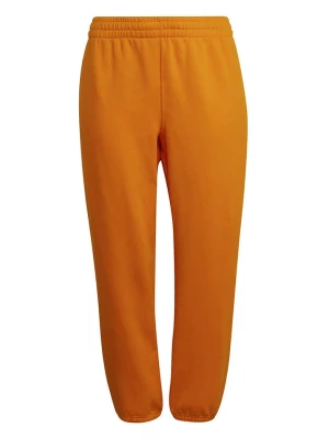 adidas Spodnie dresowe w kolorze pomarańczowym rozmiar: 4XL