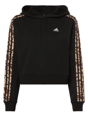 adidas Sportswear Damski sweter z kapturem Kobiety Bawełna czarny jednolity,