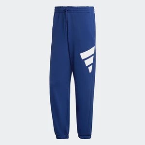 adidas Sportswear Future Icons Logo Graphic Pants