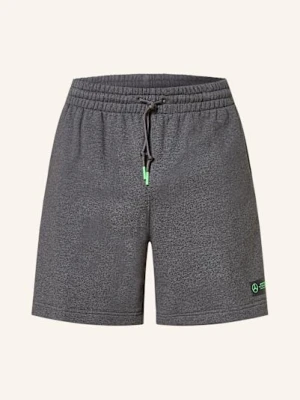 Adidas Szorty Dresowe Mercedes – Amg Petronas Formula One 1 Team Premium grau