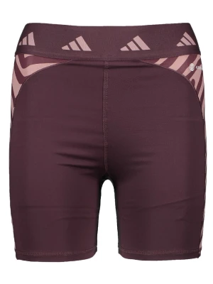 adidas Szorty sportowe "Aeroready" w kolorze fioletowym rozmiar: S