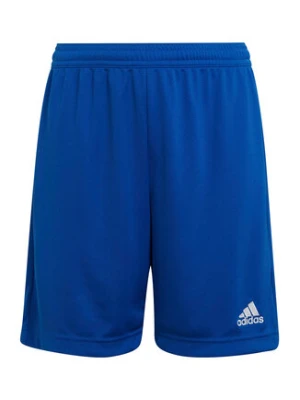 adidas Szorty sportowe Entrada 22 HG6291 Niebieski Regular Fit