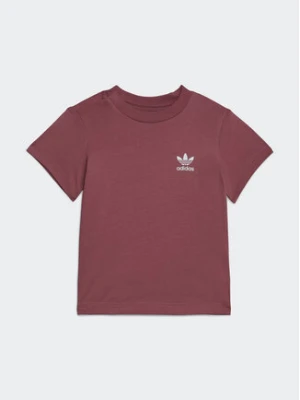 adidas T-Shirt Adicolor T-Shirt IC9106 Różowy Regular Fit