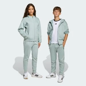 adidas Z.N.E. Spodnie ze zwężanymi nogawkami