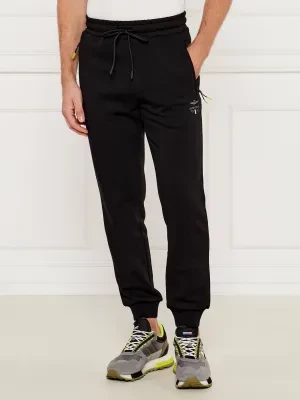 Aeronautica Militare Spodnie dresowe | Regular Fit