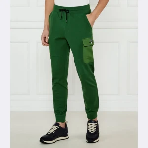 Aeronautica Militare Spodnie dresowe | Regular Fit