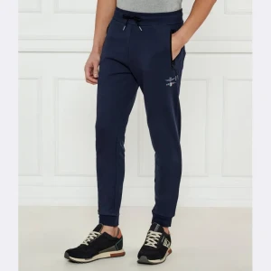 Aeronautica Militare Spodnie dresowe | Regular Fit