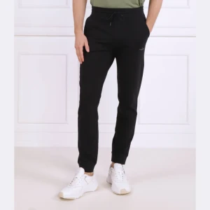 Aeronautica Militare Spodnie dresowe | Regular Fit