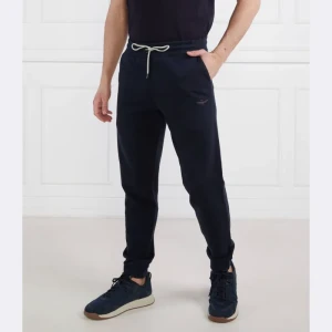 Aeronautica Militare Spodnie dresowe | Regular Fit