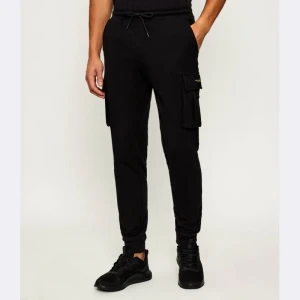 Aeronautica Militare Spodnie dresowe | Regular Fit