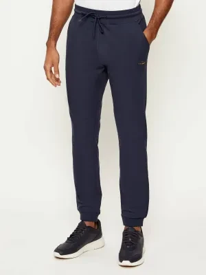 Aeronautica Militare Spodnie dresowe | Regular Fit