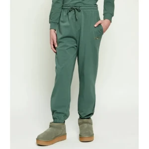 Aeronautica Militare Spodnie dresowe | Regular Fit