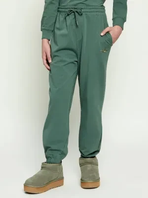 Aeronautica Militare Spodnie dresowe | Regular Fit