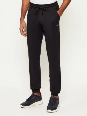 Aeronautica Militare Spodnie dresowe | Regular Fit