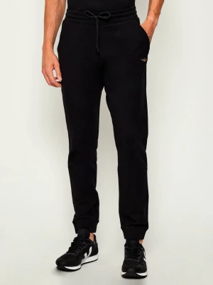 Aeronautica Militare Spodnie dresowe | Regular Fit
