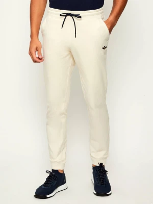 Aeronautica Militare Spodnie dresowe | Regular Fit