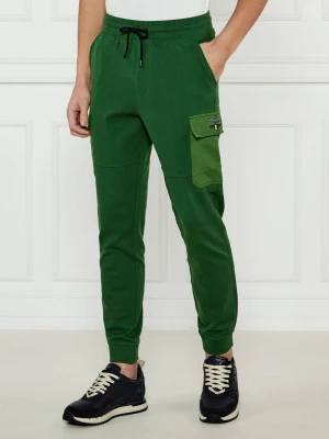 Aeronautica Militare Spodnie dresowe | Regular Fit