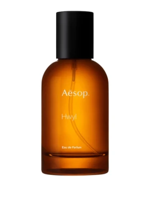 Aesop Hwyl