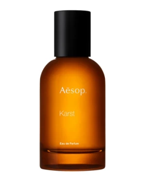 Aesop Karst