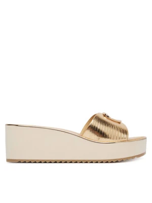 Aldo Klapki Menhaden 14190473 Złoty